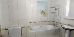 Крокус золотистый добор