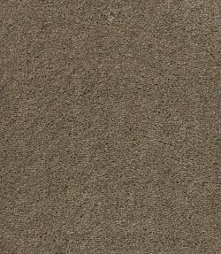 Gently walnut