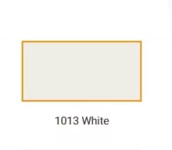 1013 White