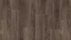 Forest Brown