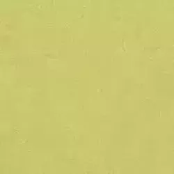 линолеум Marm Fresco 3885