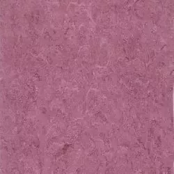 линолеум 125-113 purple sun