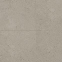 Вианден FF-1581