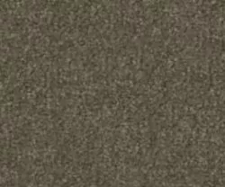 Noble 67