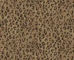 Melange 36128
