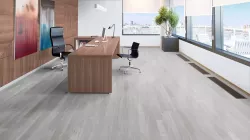 Феникс
