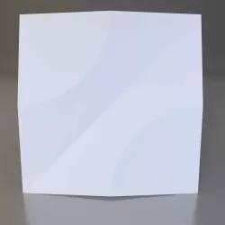 Flexion 024