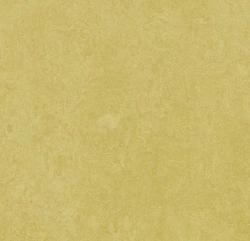 линолеум Fresco 2,5 3259 mustard