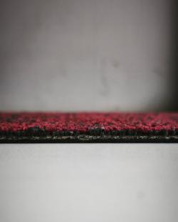 Sunrice Red