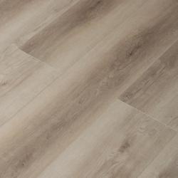 Дуб Честер 16167