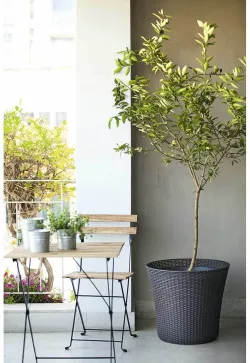 Кашпо Conic Planter