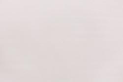 Elysium Фокс Е203728 фон