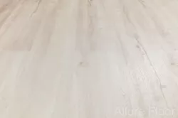 79311 Дуб светлый