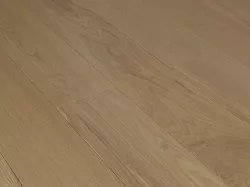 Дуб Шампань