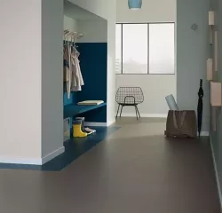 Petrol 333358