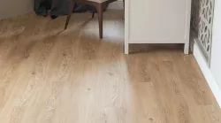 Дуб Ронда 33777