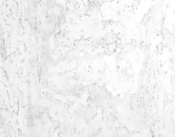 Flores White RY 07 001