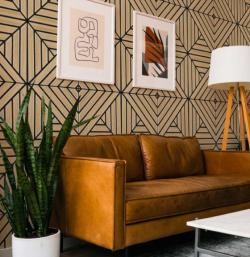 Сильва WD5620-1