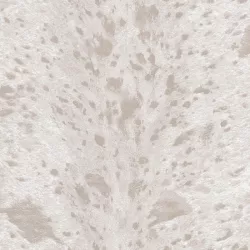 Brera 10465-02