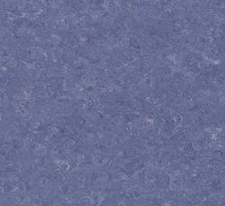 линолеум 0049 Royal Blue