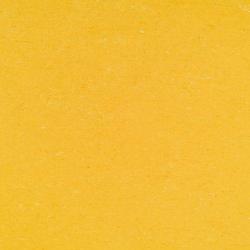 линолеум 137-001 banana yellow