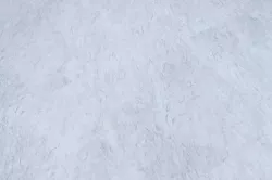 Саломон