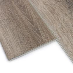 Дуб Горный ZH-81109-1