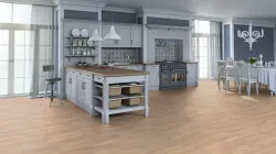 Дуб Кремовый