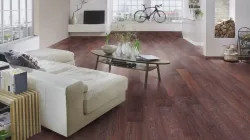 Дуб Барди 8262 33 класс 8мм