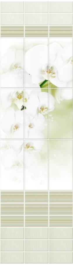Белая орхидея узор