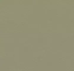 Rosemary green 333355