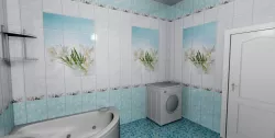 Крокус лазурь добор