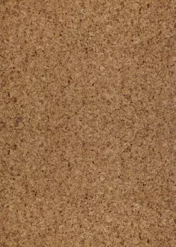 CM3 390v NN