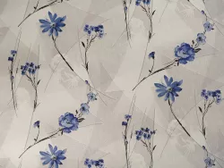 Elysium Влада 906004