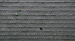 Искусственная трава Sporting fit