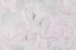 Nature 10364-01