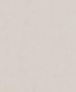 Shades 32440