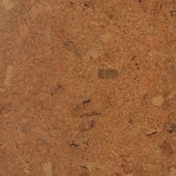 CM3 319v NN