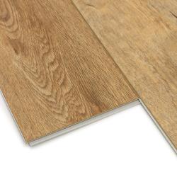 Дуб Робуста ZH-81141-1