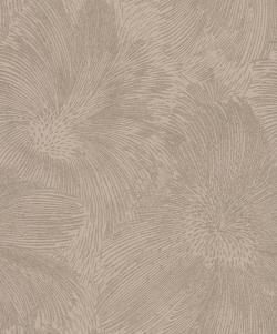 Allegretto 509243