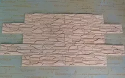 Пласт 0501