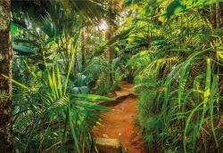 8-989 Jungle Trail