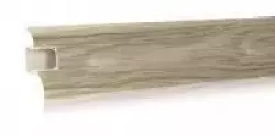 114 Дуб белый