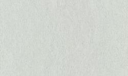 Poeme OM 2105