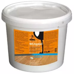 Гель для пола Lobadur WS TopGel
