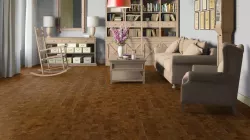 Дуб медовый