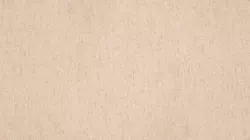 Коммерческий  линолеум Beige 01