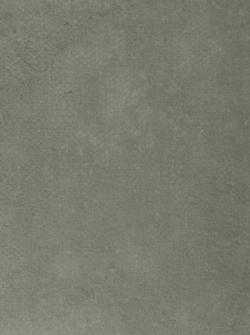 Коммерческий  линолеум Emerald Standart 72423