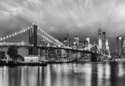 8-934 Brooklyn