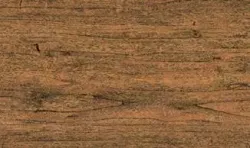 Antique Wood 2731
